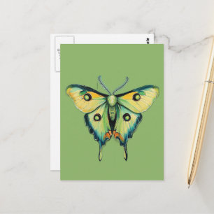 Luna-Mottenmalerei auf Grün Postkarte