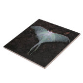 Luna-Natur-Schmetterlingsmärchen-Fantasie Fliese (Seite)