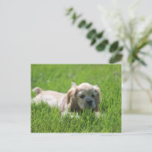 Luna Postkarte (Stehend Vorderseite)