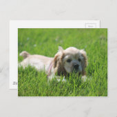 Luna Postkarte (Vorne/Hinten)