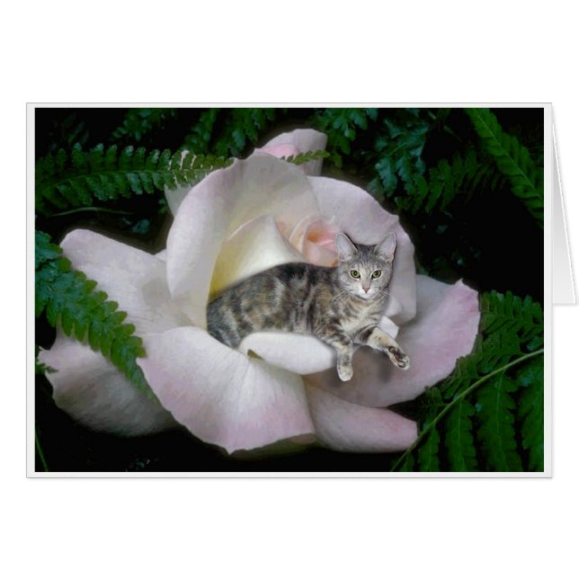 Luna-Rose (Vorderseite (Horizontal))