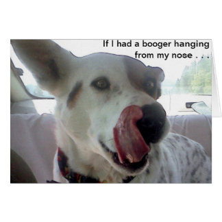 Luna sagt, wenn ich einen Booger hätte, der sich v