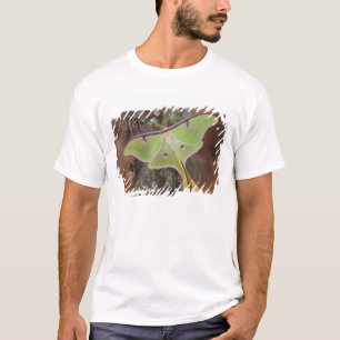 Luna-Seidenspinner T-Shirt