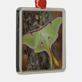Luna Silk Moth Ornament Aus Metall (Rechts)