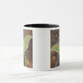 Luna Silk Moth Tasse (Zentrum)