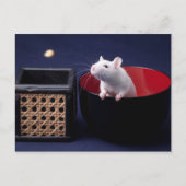 Luna Table Postcard Postkarte (Vorderseite)