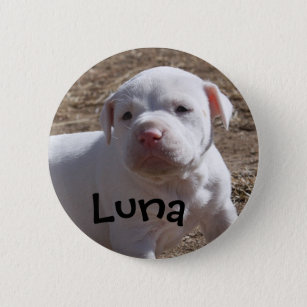 Luna, Welpen gerettet Button