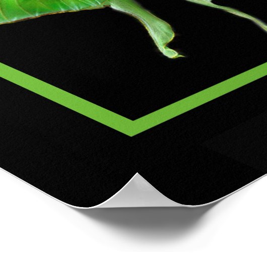 Lunablackverticle, LunaonBlackframe Poster (Ecke)