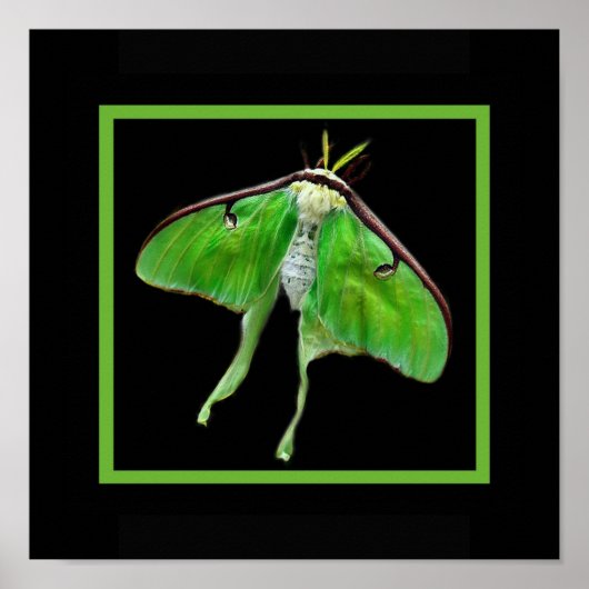 Lunablackverticle, LunaonBlackframe Poster (Vorne)