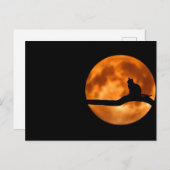 Lunar cat - Postkarte (Vorne/Hinten)