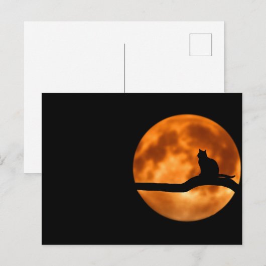Lunar cat - Postkarte (Vorne/Hinten)
