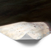 Lunar Exploration Poster (Ecke)