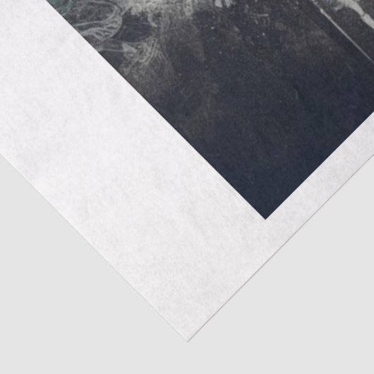 Lunar Lace Moth Seidenpapier (Ausschnitt)