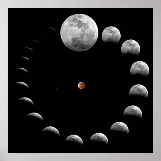 Lunar Moon Phases Poster (Vorne)