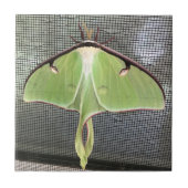 Lunar Moth Fliese (Vorderseite)