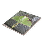 Lunar Moth Fliese (Seite)