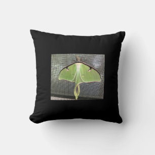 Lunar Moth Kissen