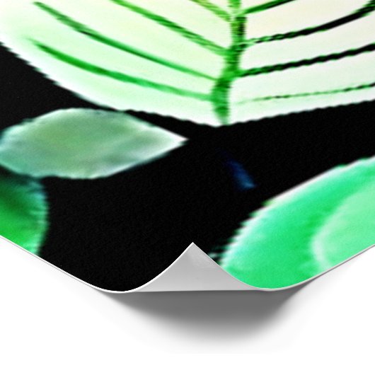 Lunar Moth Nacht Poster (Ecke)