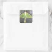 Lunar Moth Quadratischer Aufkleber (Tasche)
