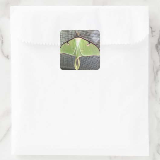 Lunar Moth Quadratischer Aufkleber (Tasche)