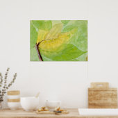 Lunar-Raupe von Abbott Handerson Thayer Poster (Küche)