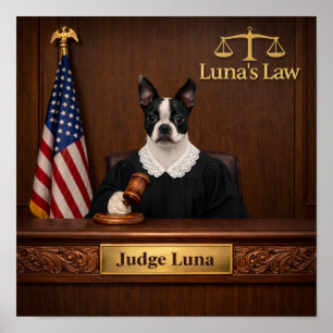 "Lunas Gesetz" Poster