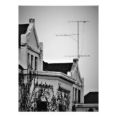 "Lunatic Fringe" Fotodruck (Vorne)