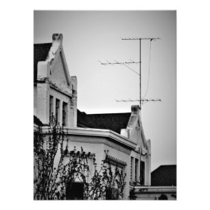 "Lunatic Fringe" Fotodruck