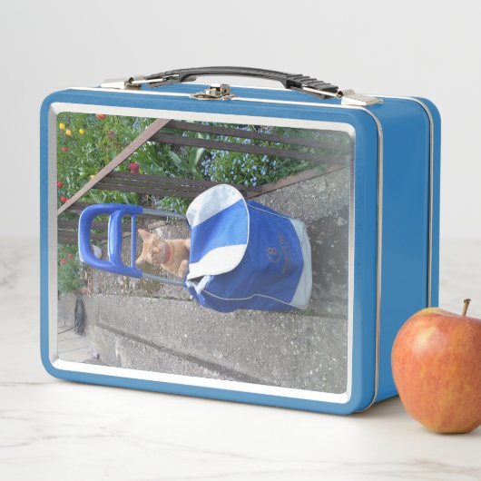 Lunch Box Kids Ginger Cat (Beispiel)