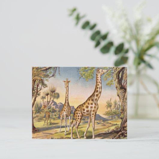 Lunch for a Giraffe Postkarte (Stehend Vorderseite)