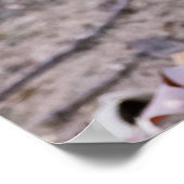 "Lunch with a Friend" Weibliches Eichhörnchen-Post Poster (Ecke)