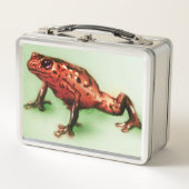 Lunchbox aus Vintagem Metall - Frosch (Vorderseite)