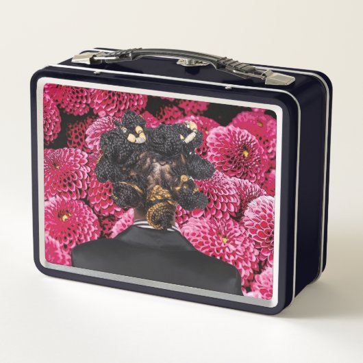 Lunchbox. Metall Brotdose (Rückseite)