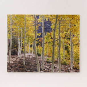 Lundy Canyon Espen Puzzle