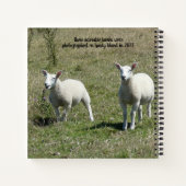 Lundy Island Lambs Notizblock (Rückseite)
