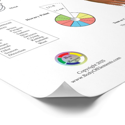 Lung Meridian Acupuncture Points Poster (Ecke)