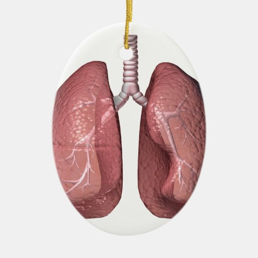 Lungen Keramik Ornament (Vorne)