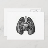 Lungen und Herz Postkarte (Vorne/Hinten)