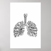 Lungenanatomie-Illustrationspopster Poster (Vorne)