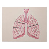 Lungendiagramm Notizblock (Vorderseite)