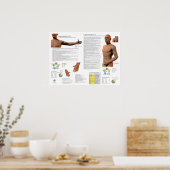 Lungenmeridian Akupunkturpunkte Poster (Küche)