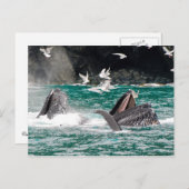 Lunging Humpback Wale Postkarte (Vorne/Hinten)