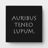 Lupe Fotoplatte (Vorderseite)