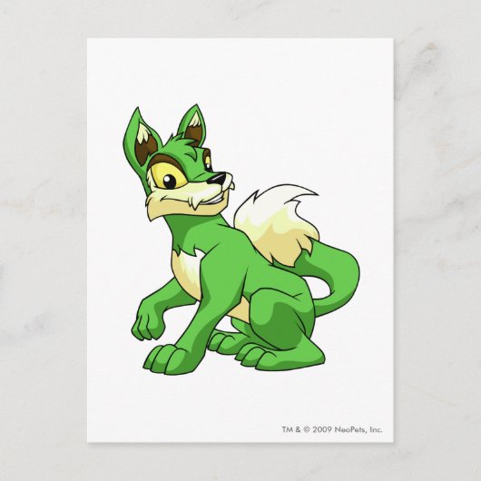 Lupe Grün Postkarte (Vorderseite)