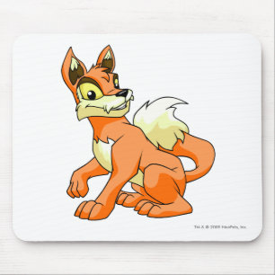 Lupe Orange Mousepad