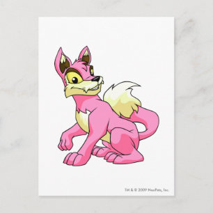 Lupe Pink Postkarte