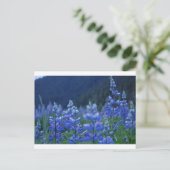 Lupenpostkarte Postkarte (Stehend Vorderseite)