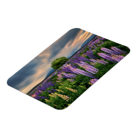 Lupin Field in Neuseeland Magnet (Linke Seite)