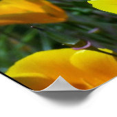 Lupin & Poppies Er ist Risen! Drucken Poster (Ecke)