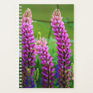 Lupin Small Soft Cover, White Spiral Planer